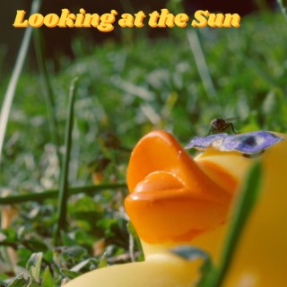 Looking at the Sun lyrics | Boomplay Music