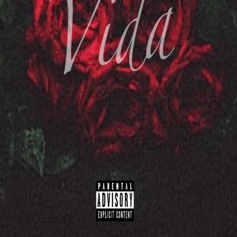 Vida | Boomplay Music