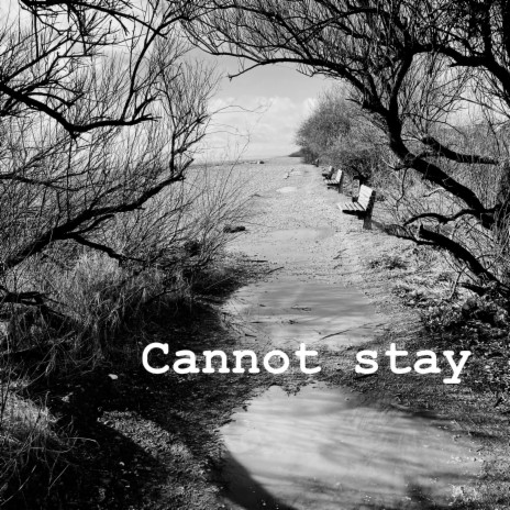 Cannot stay | Boomplay Music