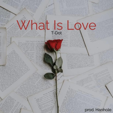 What Is Love ft. Hanhole | Boomplay Music