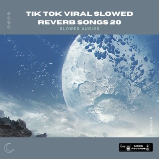 Tik Tok Viral Slowed Reverb Songs 20