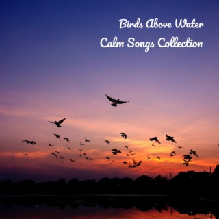 Calm Songs Collection