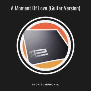 A Moment Of Love (Guitar Version)