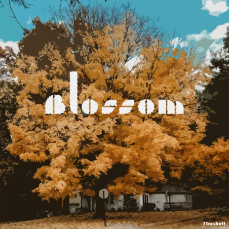 Blossom