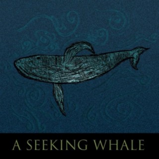 A Seeking Whale