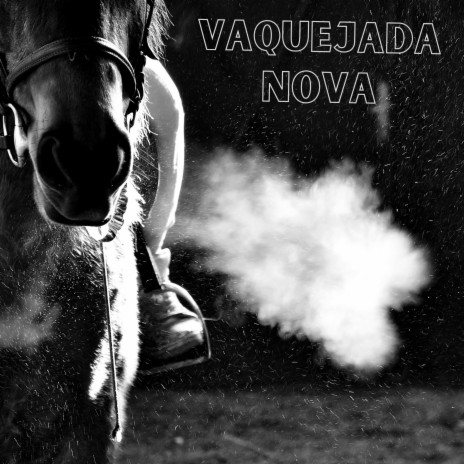 Vaquejada Nova | Boomplay Music