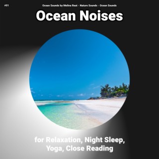 #01 Ocean Noises for Relaxation, Night Sleep, Yoga, Close Reading