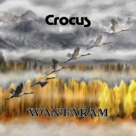 Crocus | Boomplay Music