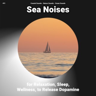 #01 Sea Noises for Relaxation, Sleep, Wellness, to Release Dopamine