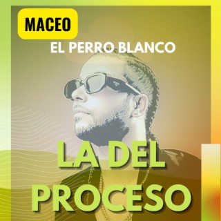 LA DEL PROCESO