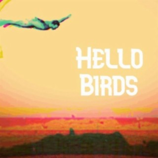 Hello Birds