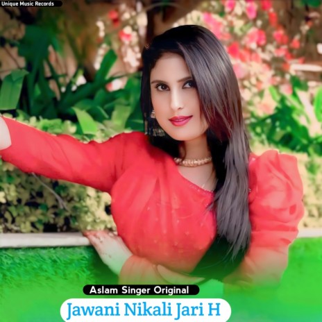 Jawani Nikali Jari H | Boomplay Music