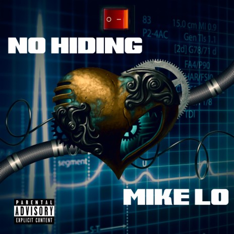 No Hiding | Boomplay Music