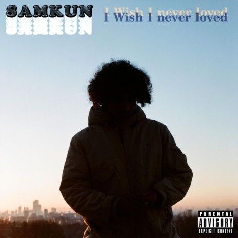 I Wish I Never Loved | Boomplay Music