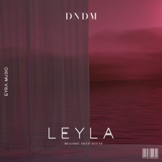 Leyla (Taoufik Remix)