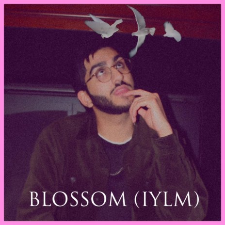 blossom (iylm)