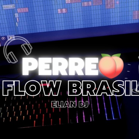 PERREO FLOW BRASIL