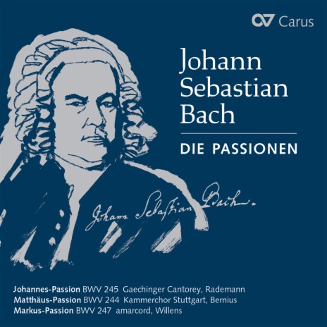 J.S. Bach: Johannes-Passion, BWV 245 / Pt. I - No. 1, Herr, unser Herrscher ft. Hans-Christoph Rademann | Boomplay Music