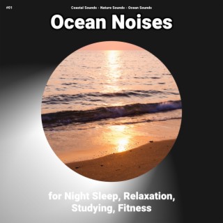 #01 Ocean Noises for Night Sleep, Relaxation, Studying, Fitness