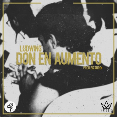 Don En Aumento ft. Ludwing | Boomplay Music