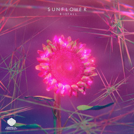 Sunflower | Boomplay Music