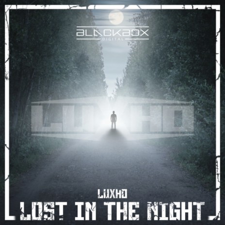 Lost In The Night | Boomplay Music