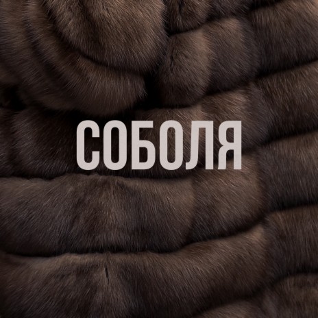 Соболя | Boomplay Music