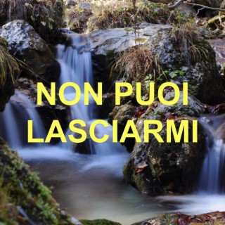 Non Puoi Lasciarmi ft. Claudio Iacuzio Klaus lyrics | Boomplay Music