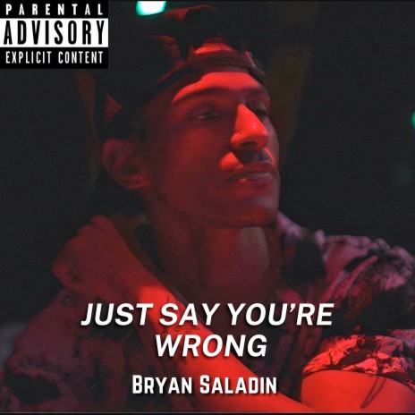 Just Say You're Wrong | Boomplay Music