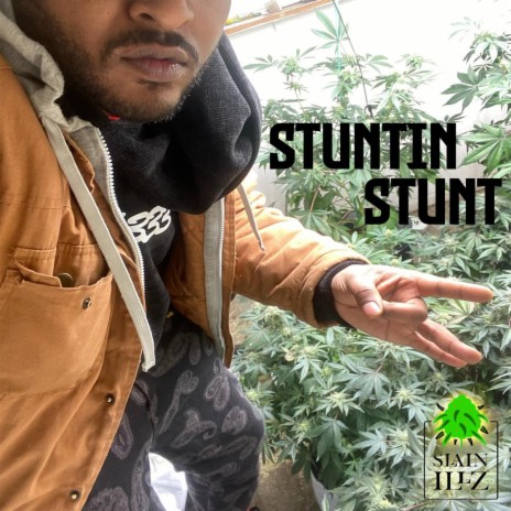 Stuntin Stunt | Boomplay Music