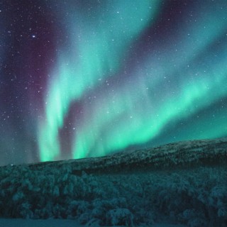 Northern Lights