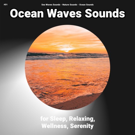 Rare Noises ft. Sea Waves Sounds & Ocean Sounds