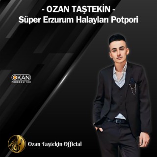 Ozan Taştekin - Potpori Erzurum Halayları Karma