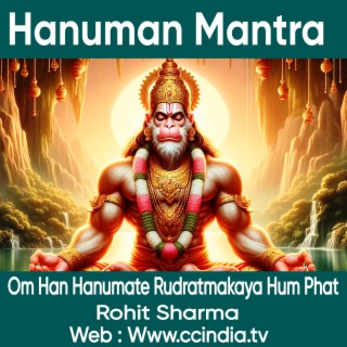 Hanuman Mantra ! Om Han Hanumate Rudratmakaya Hum Phat