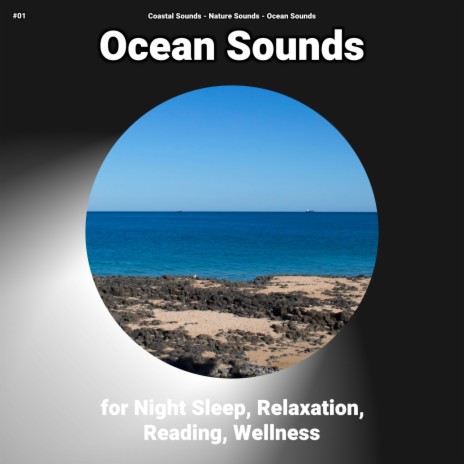 Ocean Waves for Sleep ft. Nature Sounds & Ocean Sounds