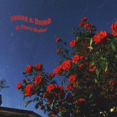 Young & Dumb ft. Chevy Walker | Boomplay Music