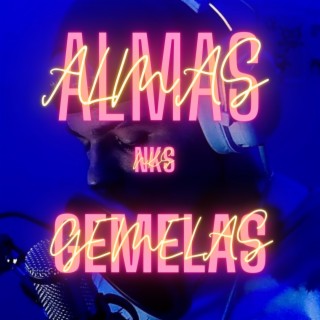 Almas Gemelas