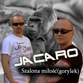 Szalona miłość (gorylek) (Radio Edit)