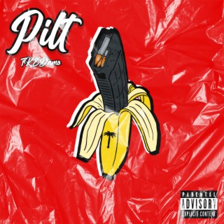 Pilt