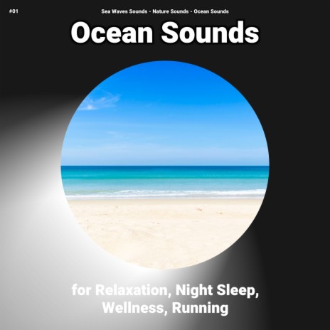 Wave Sounds for Learning ft. Ocean Sounds & Nature Sounds