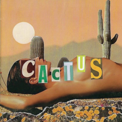 Cactus | Boomplay Music