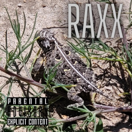 Raxx | Boomplay Music