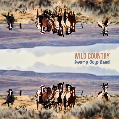 Wild Country | Boomplay Music