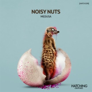 Noisy Nuts