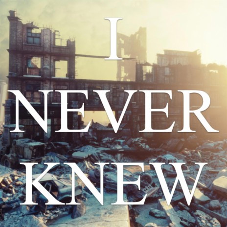 I Never Knew | Boomplay Music