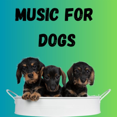 Soft Dog Music ft. Music For Dogs Peace, Calm Pets Music Academy & Relaxing Puppy Music | Boomplay Music