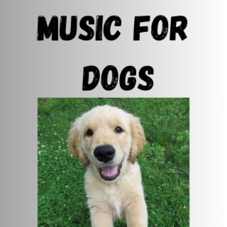 Music For Dogs (Vol.94)