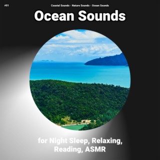 #01 Ocean Sounds for Night Sleep, Relaxing, Reading, ASMR