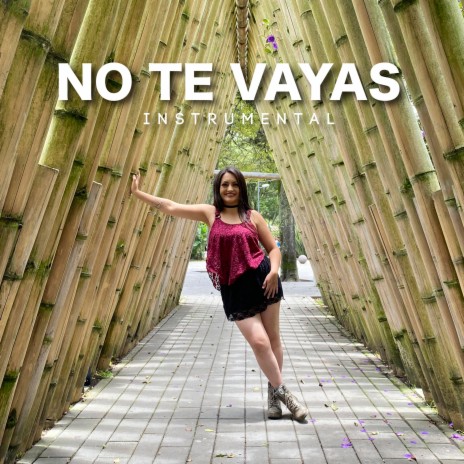 No Te Vayas | Boomplay Music