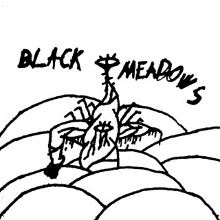 Black Meadows